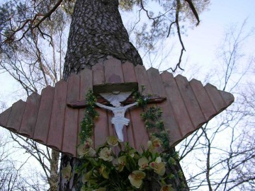 Ślady Powstania Styczniowego na terenie Sulejowskiego Parku Krajobrazowego., 