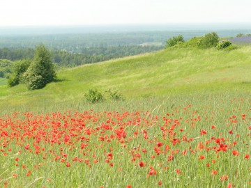 Panorama Muraw Dobromierskich