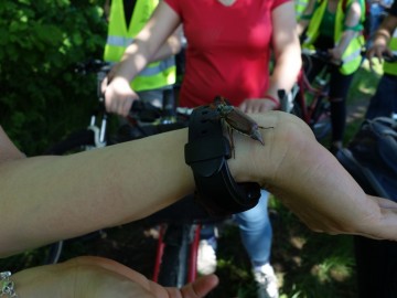 Rowerowy rajd przełajowy zielonym szlakiem pieszym 