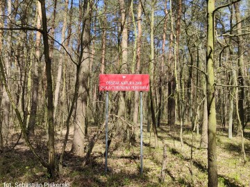 Obszar Natura 2000 Wola Cyrusowa, <p>fot. Sebastian Piskorski</p>