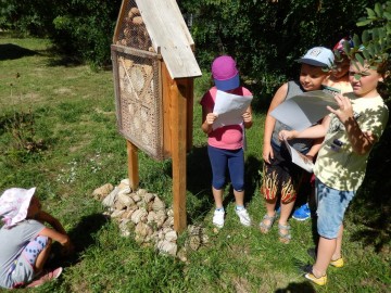 Wielki Dzień Pszczół 2018 w Lesie Łagiewnickim , fot. P. Bajerska
