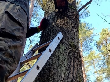 Czyszczenie budek lęgowych w naszych parkach, 