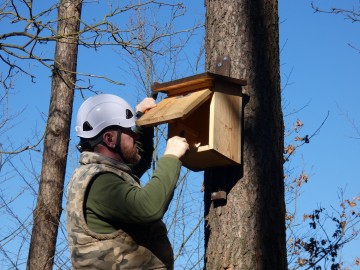 Czyszczenie budek lęgowych w naszych parkach, 