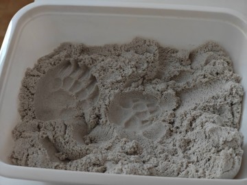 632127744_1340132344809140_3381324175394385942_n