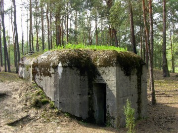 Polski schron bojowy z okresu II Wojny Światowej w lesie pod Zamościem