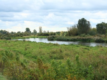 Rajd Rowerem nad Wartą - jesień 2024, <p>M. Ignaczak</p>