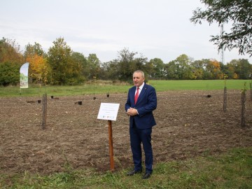 Sadzenie drzew owocowych w Sędziejowicach, K. Kierniakiewicz