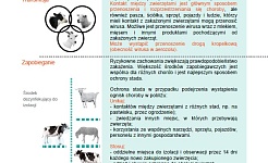 Informacja dotycząca transmisji i zapobieganiu pryszczycy (FMD)
